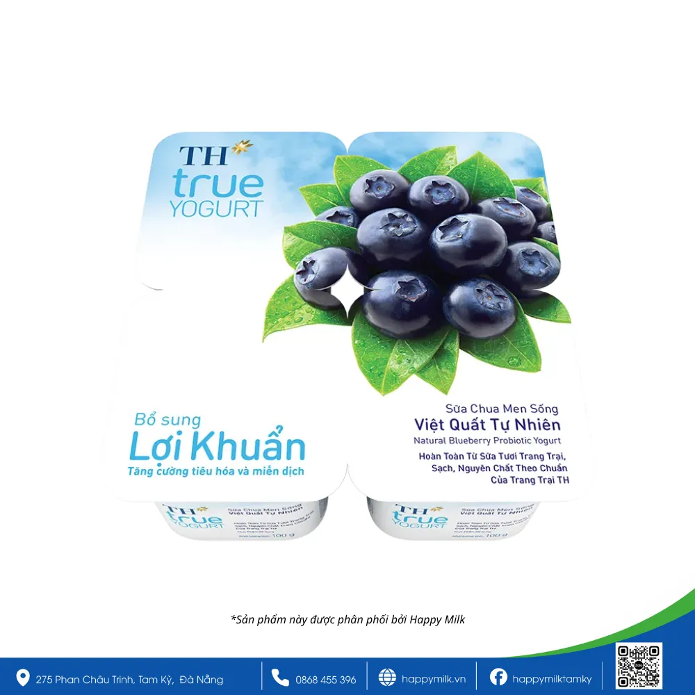 BLUEBERRY LIVE YEAST YOGURT 100G